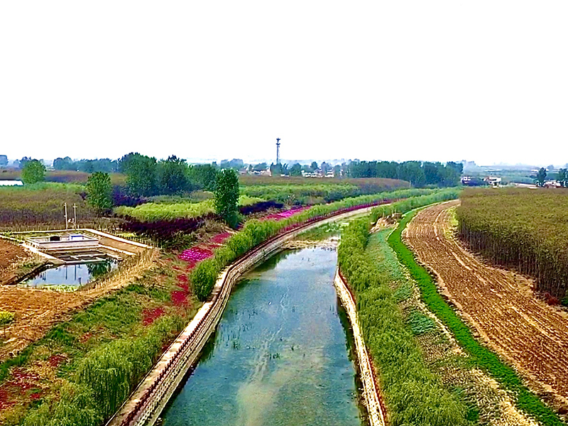 洛陽伊洛聯通1